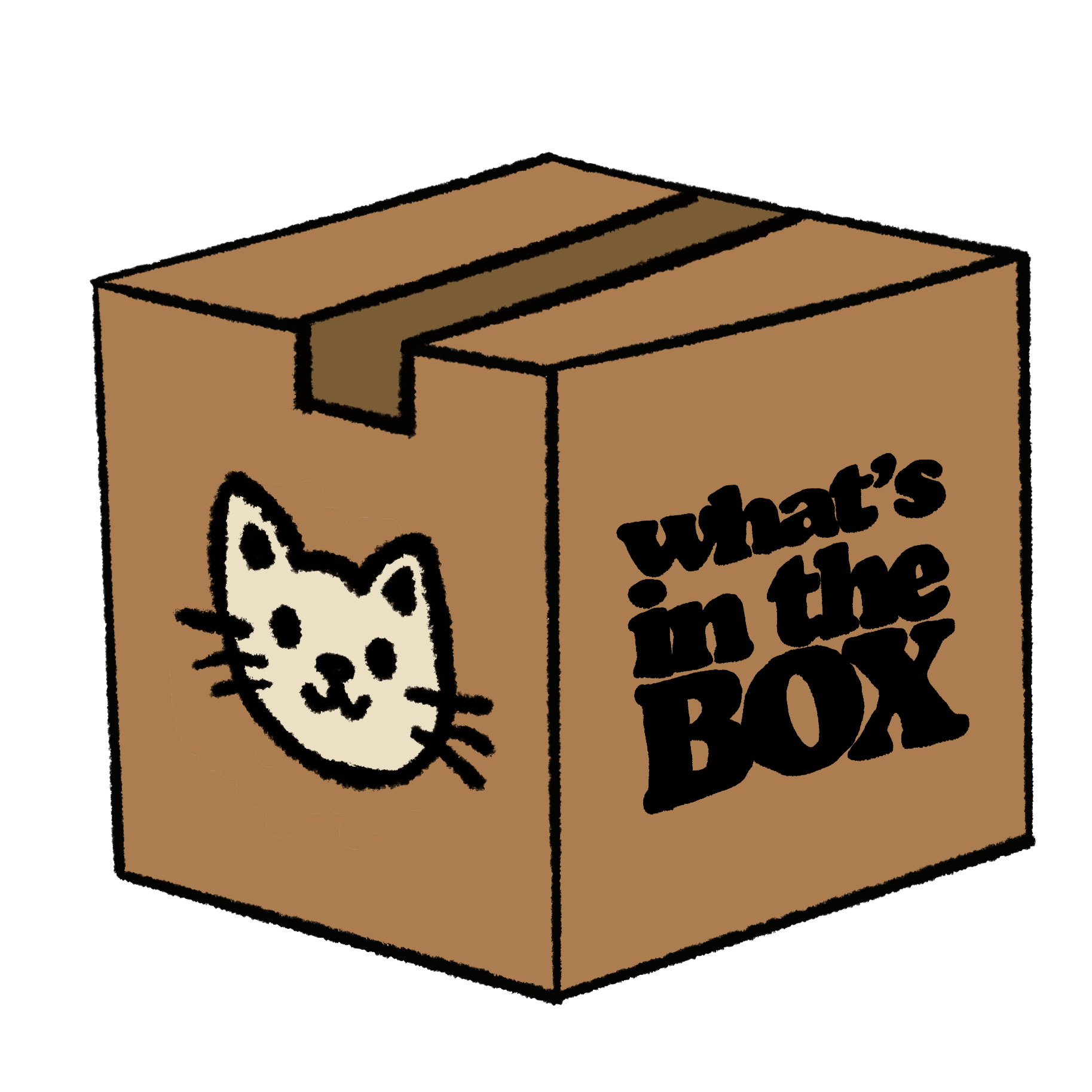 THE FIRST CAT TOY BOX